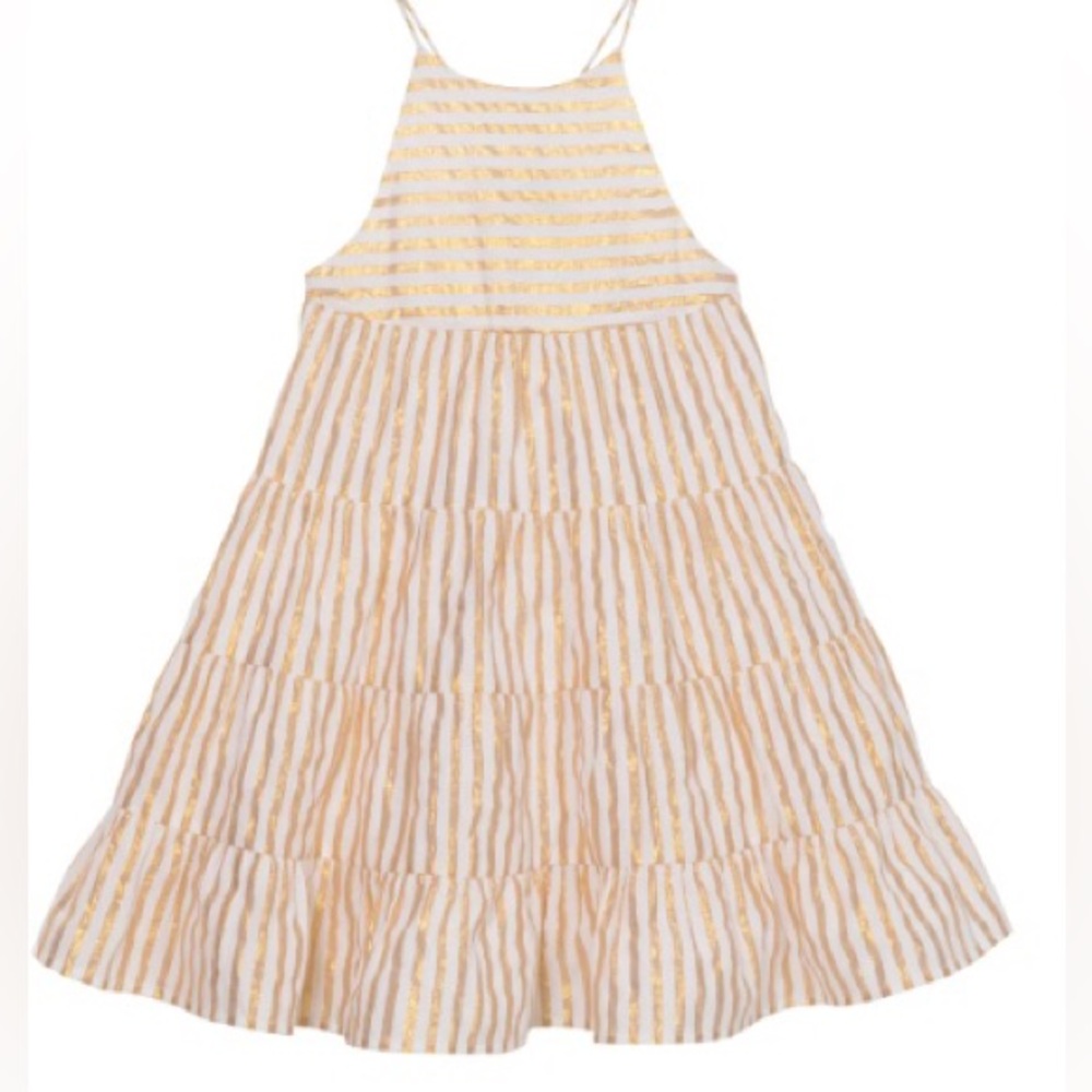 Velveteen Lara Dress Size 6 Gold Metallic Dress